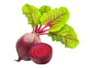 Beetroot